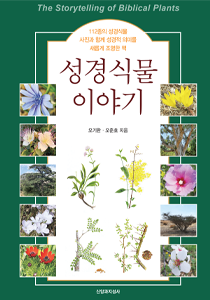 성경식물210-300